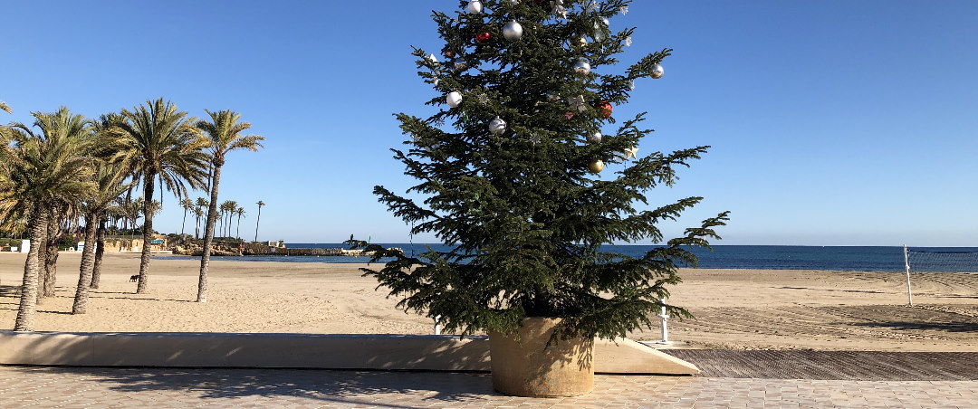 Christmas Tree on beach in front of palm trees